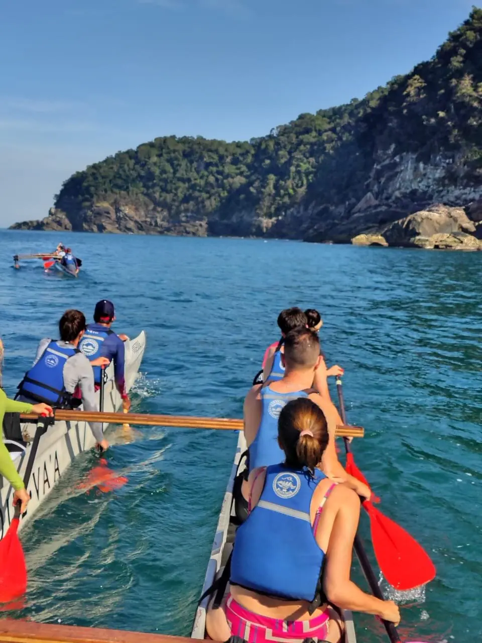 Remadores na canoa havaiana perto de uma ilha de mata atlântica