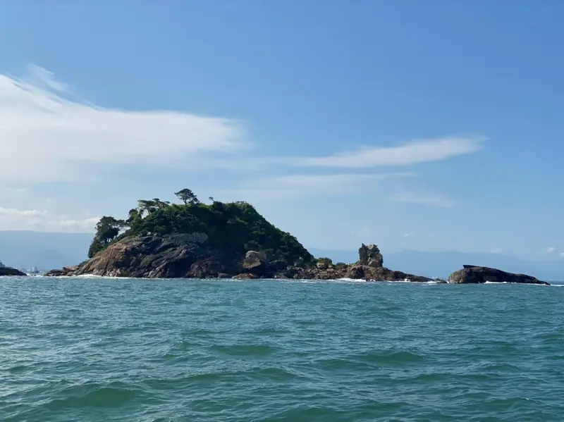 Ilha do Aparas, em frente a Toque-Toque Pequeno, vista de barco