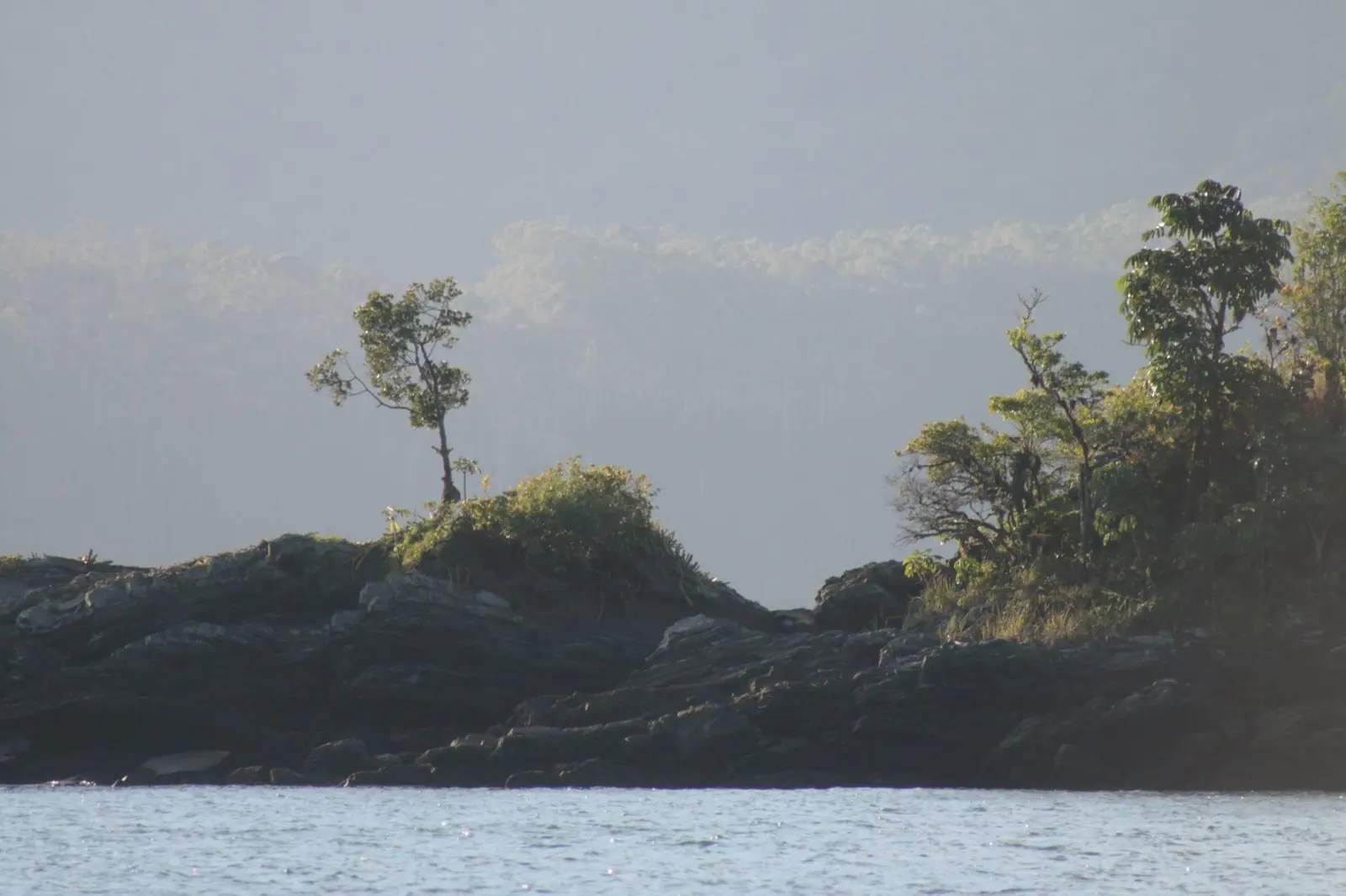 Ilha de pedra com árvores vista do mar