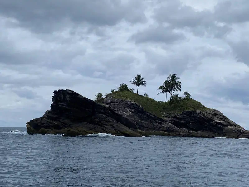 Ilha do Aparas, com rochedos escuros e coqueiros, vista de barco