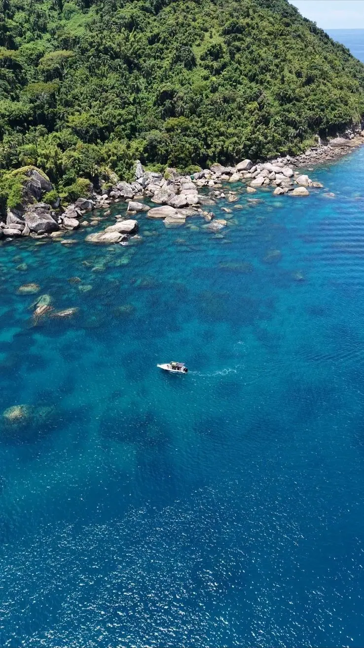 Ilha de mata e costão com mar azul profundo, vista do alto