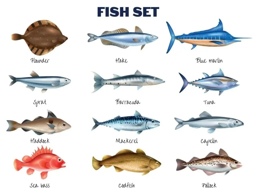 Ilustração de peixes do mar, como linguado, cavala, atum e robalo