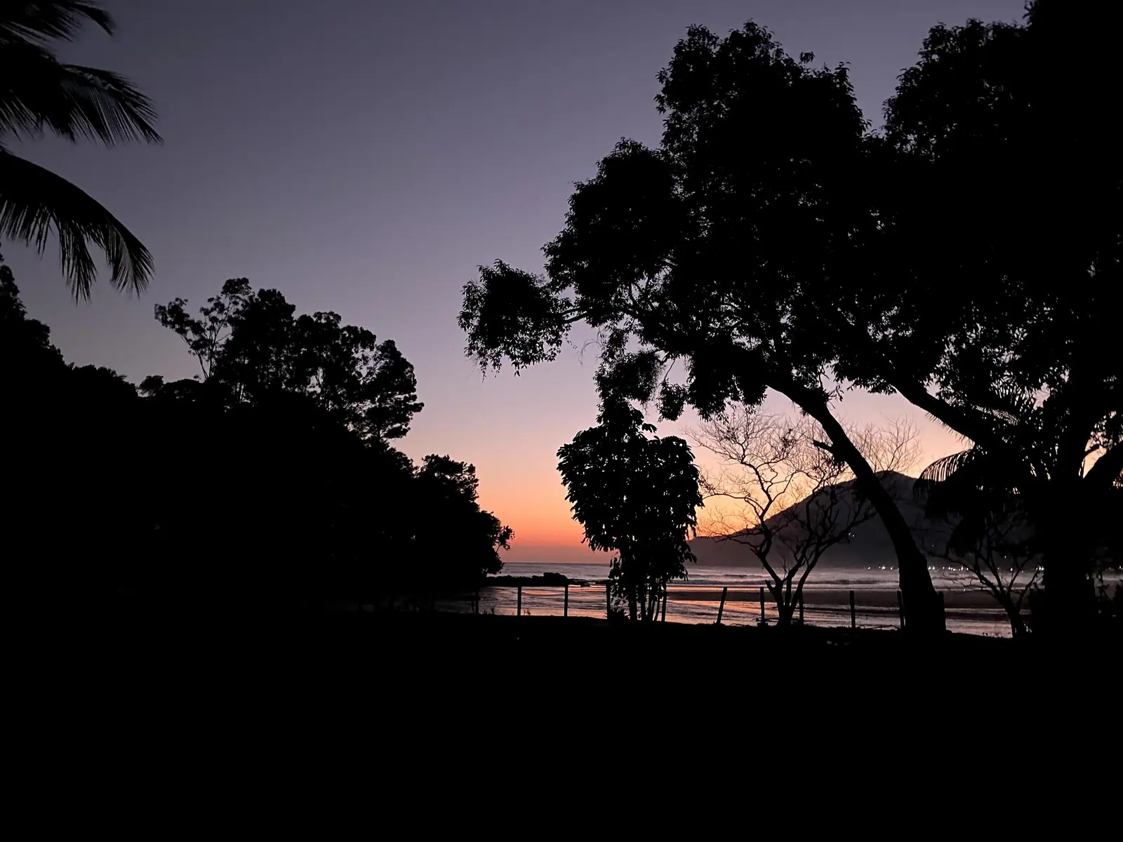 Silhueta das árvores da orla de Maresias contra o céu do pôr do sol