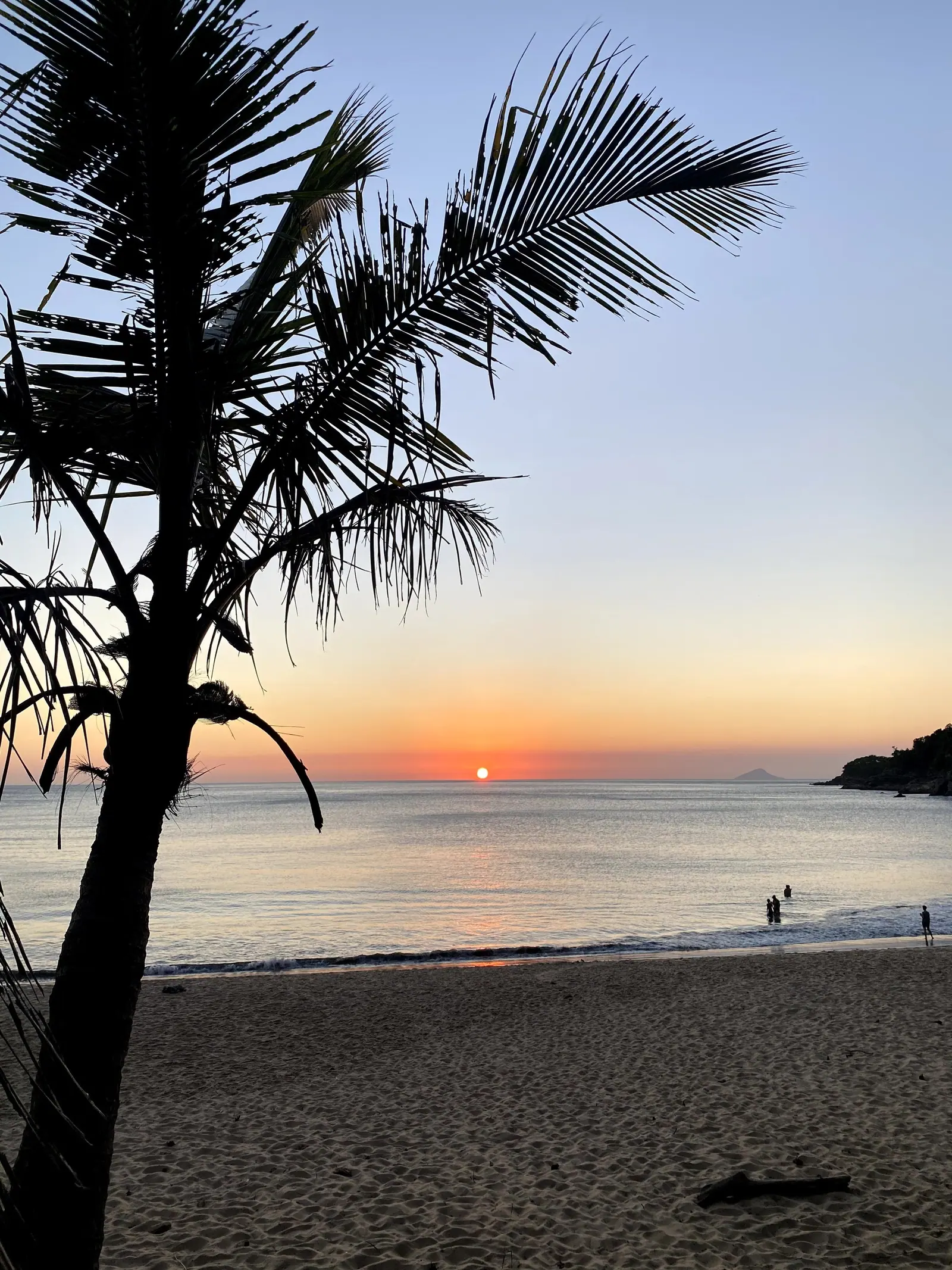Coqueiro na areia de Toque-Toque Grande com o sol baixo no horizonte